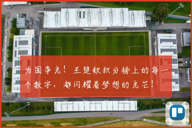 为国争光!王楚钦积分榜上的每一个数字,都闪耀着梦想的光芒!
